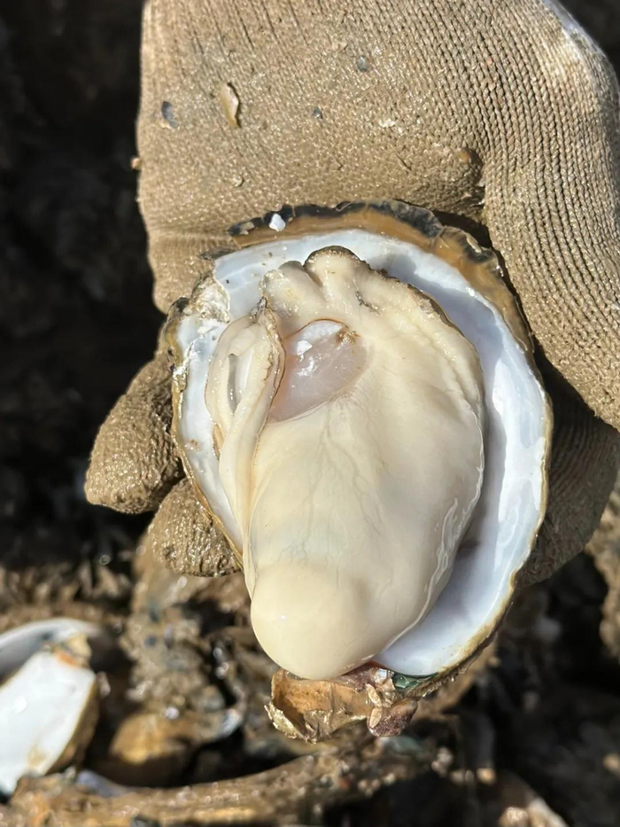 任明皓摄（资料图）