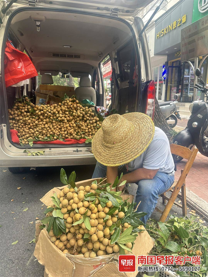 ▲建政路上，有摊主开车摆卖龙眼。