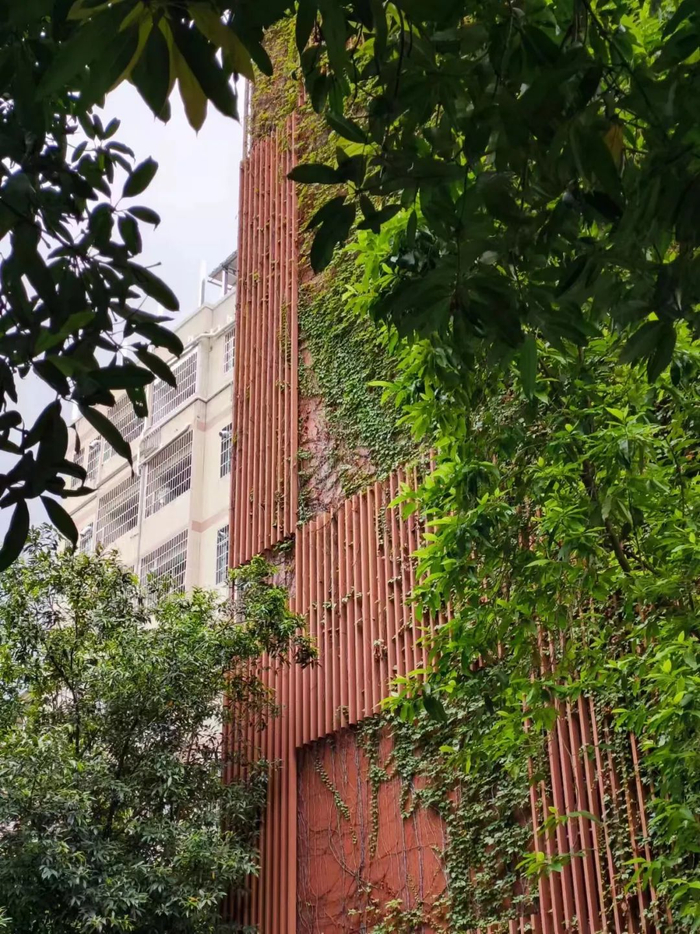 （图源：雷科技摄制）