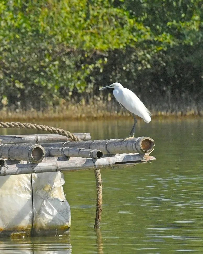 李向东（资料图）