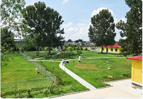 资料来源：公司官网，山西证券研究所