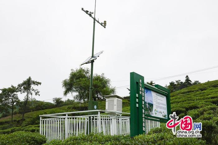 图为气象部门在茶园安装的小气候站。中国网记者 董宁摄影