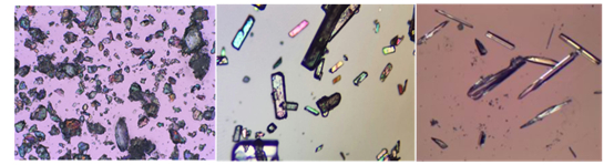 图2. 显微镜下粒子形态