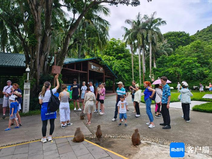 外国游客在南湾猴岛生态旅游区游玩。受访者供图