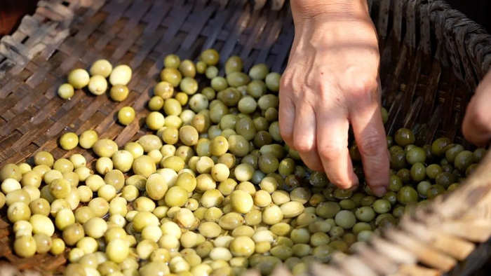 林倩宇摄（资料图）