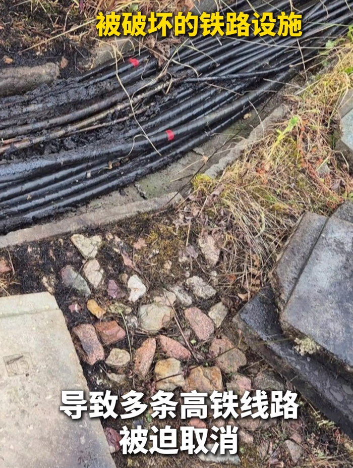 图片来源：央视新闻视频截图