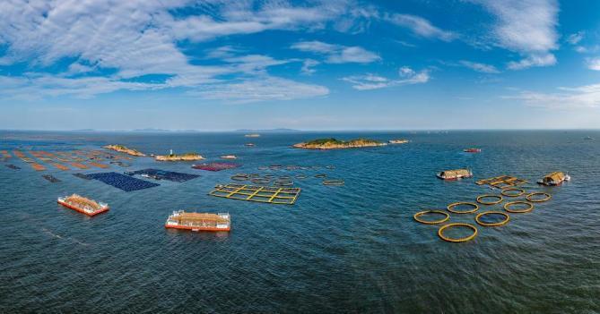 连江定海湾分布着多个深远海养殖平台。（杨柳州 摄）