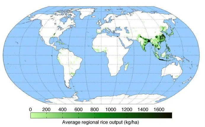 资料来源：The Decolonial Atlas，山西证券研究所