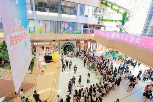 图/淘宝猫王见面会现场