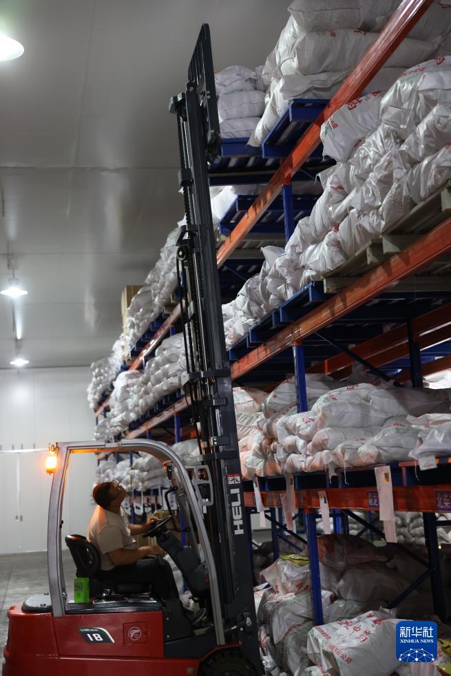   7月23日，工作人员在甘肃陇西县的一家药材公司的库房运输药材。 新华社记者 吕帅 摄