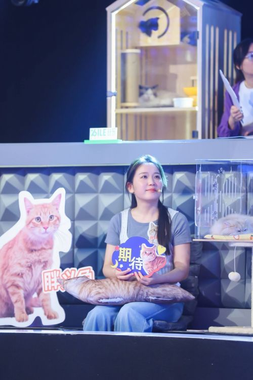 图/猫咪“胖头鱼”的铲屎官一直坚持救助流浪猫