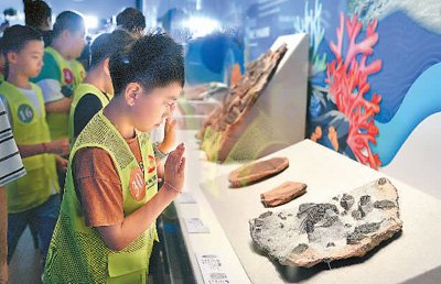小朋友在江苏省常州博物馆参观“古海精灵——三叶虫化石及古海洋演化史”特展。史康摄（人民图片）