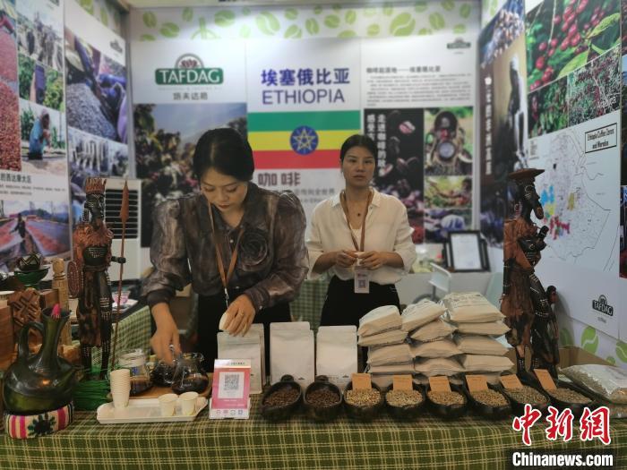 7月26日，第8届中国一南亚博览会咖啡产业馆中的埃塞俄比亚咖啡代理商在整理展品。　中新社记者 胡远航 摄