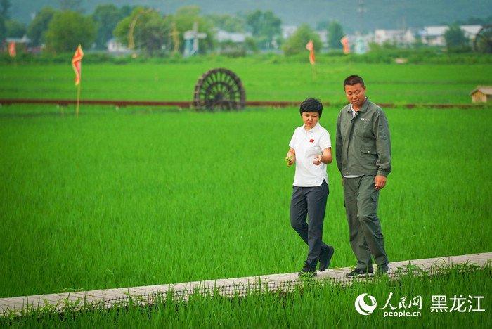 陈雨佳与村民在田间查看水稻长势。人民网记者 苏靖刚摄