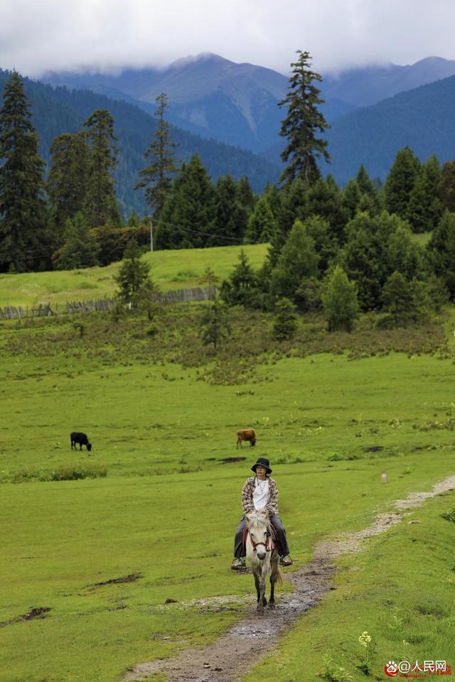 图为游客在高山牧场景区体验骑马。次仁罗布 摄