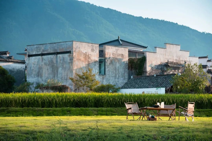 ▲交叉小径的花园