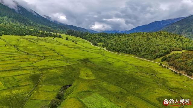 图为航拍高山牧场鸟瞰图。次仁罗布 摄