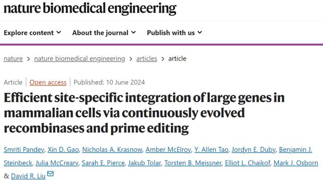 图 | 相关论文（来源：Nature Biomedical Engineering）