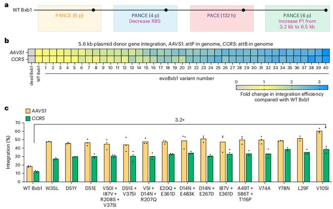 （来源：Nature Biomedical Engineering）