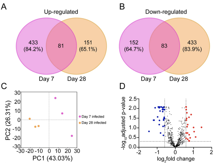 肺炎衣原体感染后，与阿尔茨海默症相关的基因变化