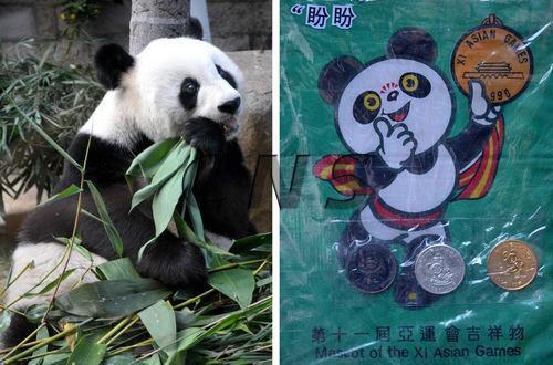 大熊猫“巴斯”与北京亚运会吉祥物“盼盼”。资料图片