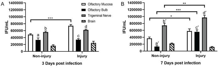 鼻腔内接种肺炎衣原体后的病原IFU数量