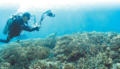 　　在马来西亚热浪岛，中国自然资源部第三海洋研究所和马来西亚马来亚大学共同开展海洋生态联合调查与研究。图为科研人员记录海底珊瑚礁状况。 　　杜建国摄