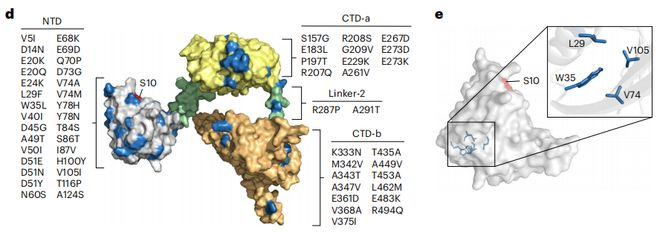（来源：Nature Biomedical Engineering）
