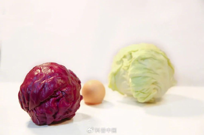 图库版权图片，转载使用可能引发版权纠纷