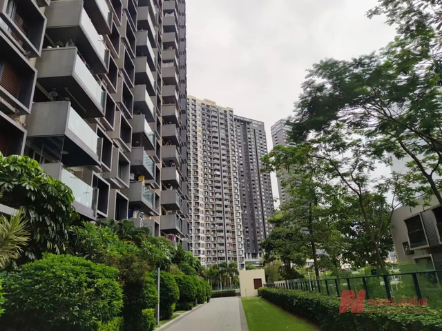 深圳半岛城邦小区 每日经济新闻资料图