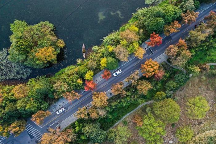 汽车行驶在杭州西湖景区（2020年11月6日摄，无人机照片）。新华社记者 黄宗治 摄