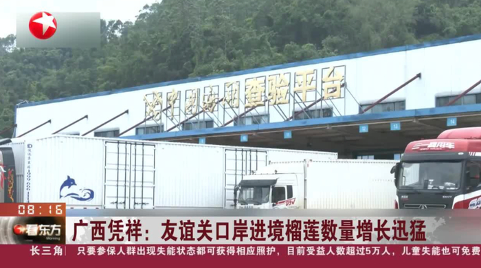 广西友谊关口岸榴莲进口规模快速增长