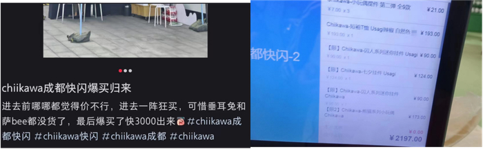 消费者抢购“吉伊卡哇”一单近3000元。 图片来源：社交媒体截图