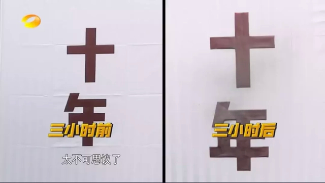 ▲图源：《新闻大求真》节目 