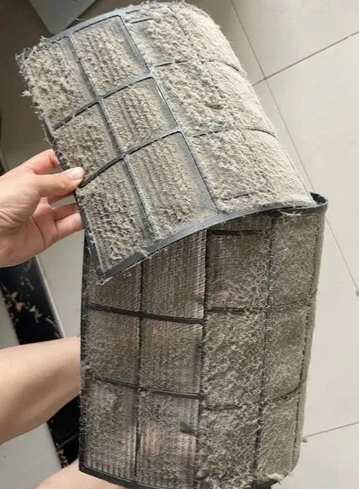 ▲图源：小红书用户@闹闹捏果