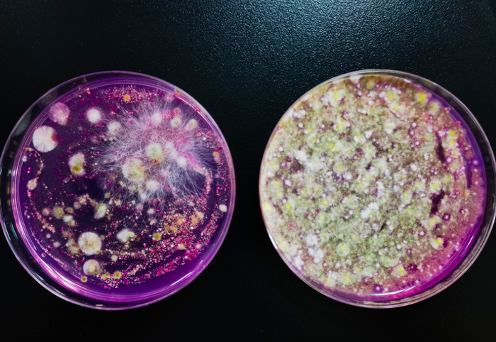 ▲图源：丁香医生