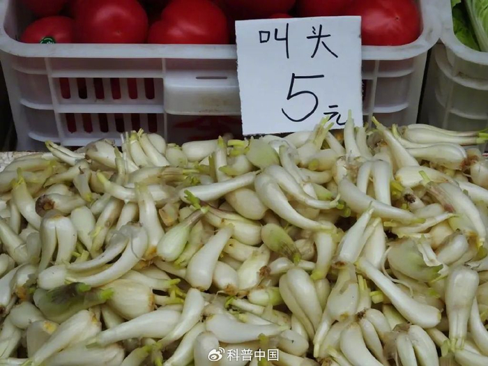 图库版权图片，转载使用可能引发版权纠纷