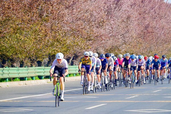 周至县周塬路上举办的自行车赛。受访者供图