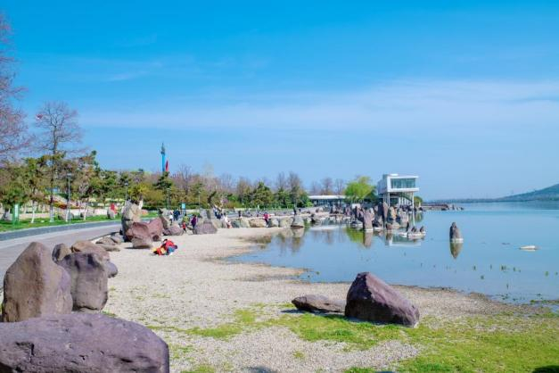 美丽的龙子湖畔。新华网发 （朱立勇 摄）