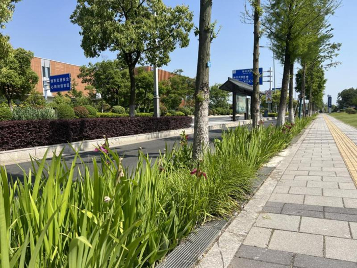 扬州首条海绵大道。张孔生 摄