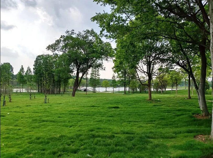 扬州慈善文化园内景。 姜传刚 摄