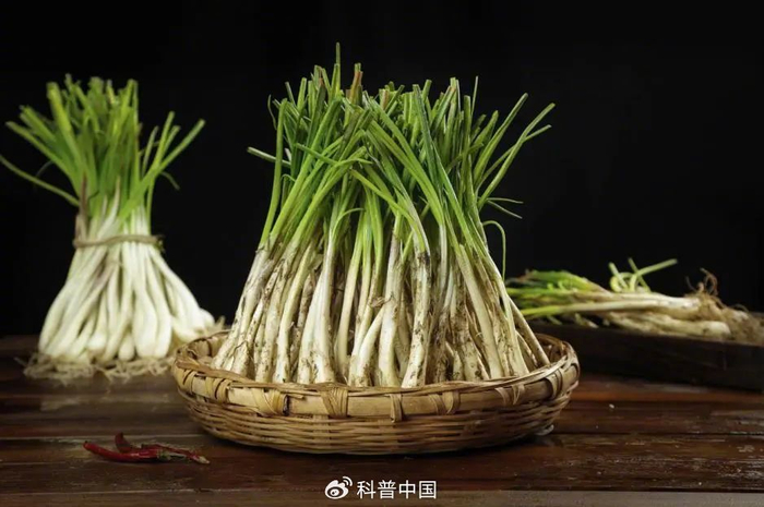 图库版权图片，转载使用可能引发版权纠纷