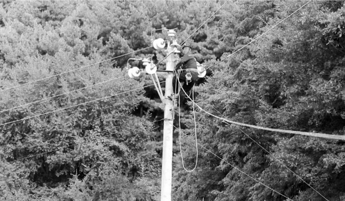         工作人员冒雨登上线杆抢修。桓仁供电公司供图