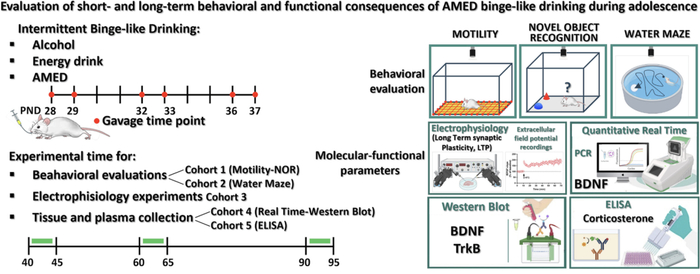实验流程和结果