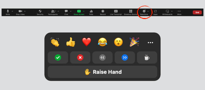 图 4  Zoom 的表情反应界面