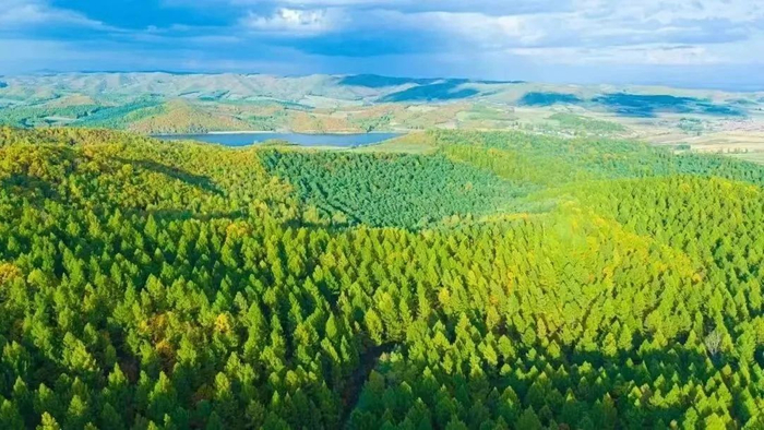 龙江森工林区良好的生态环境