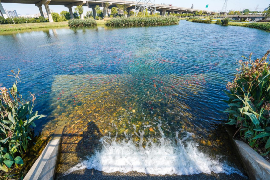 缓一缓,"废地"变"宝地"!南京大力推进生态安全缓冲区建设|江宁|缓冲区