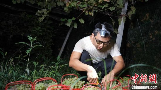 “新农人”刘勇。受访者供图