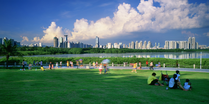 深圳湾公园红树林风景线成为市民休闲好去处 。广东省自然资源厅供图