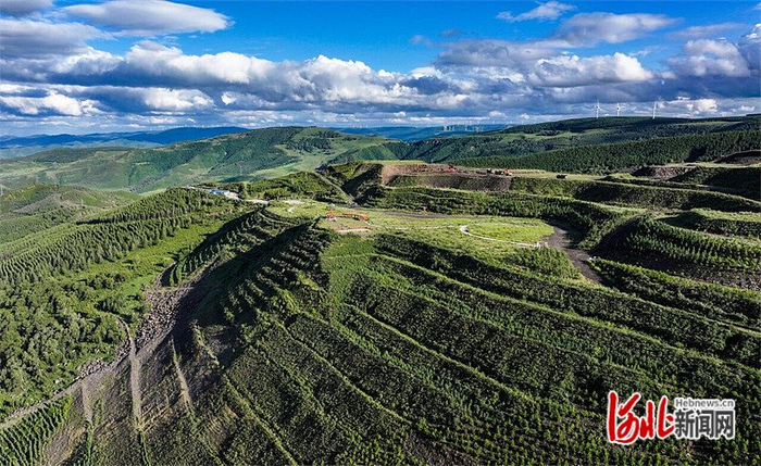 7月31日，航拍位于围场山湾子乡舍土沟山顶的承德新鼎矿业有限公司玄武岩矿山。河北日报记者 李佳泽摄
